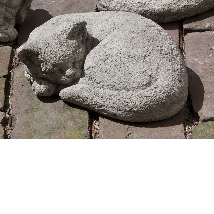 Photo of Campania Curled Cat Small - Exclusively Campania