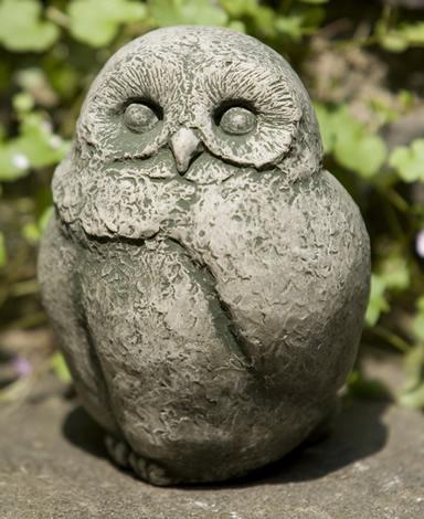 Photo of Campania Baby Barn Owl - Exclusively Campania