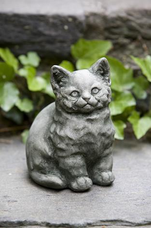 Photo of Campania Kitty - Exclusively Campania