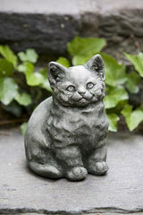 Photo of Campania Kitty - Exclusively Campania