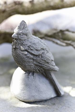 Photo of Campania Cardinal - Exclusively Campania