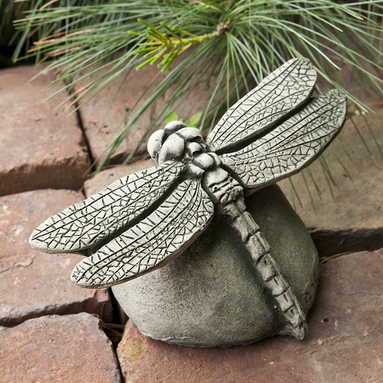 Photo of Campania Dragonfly - Exclusively Campania