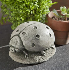 Photo of Campania Ladybug - Exclusively Campania