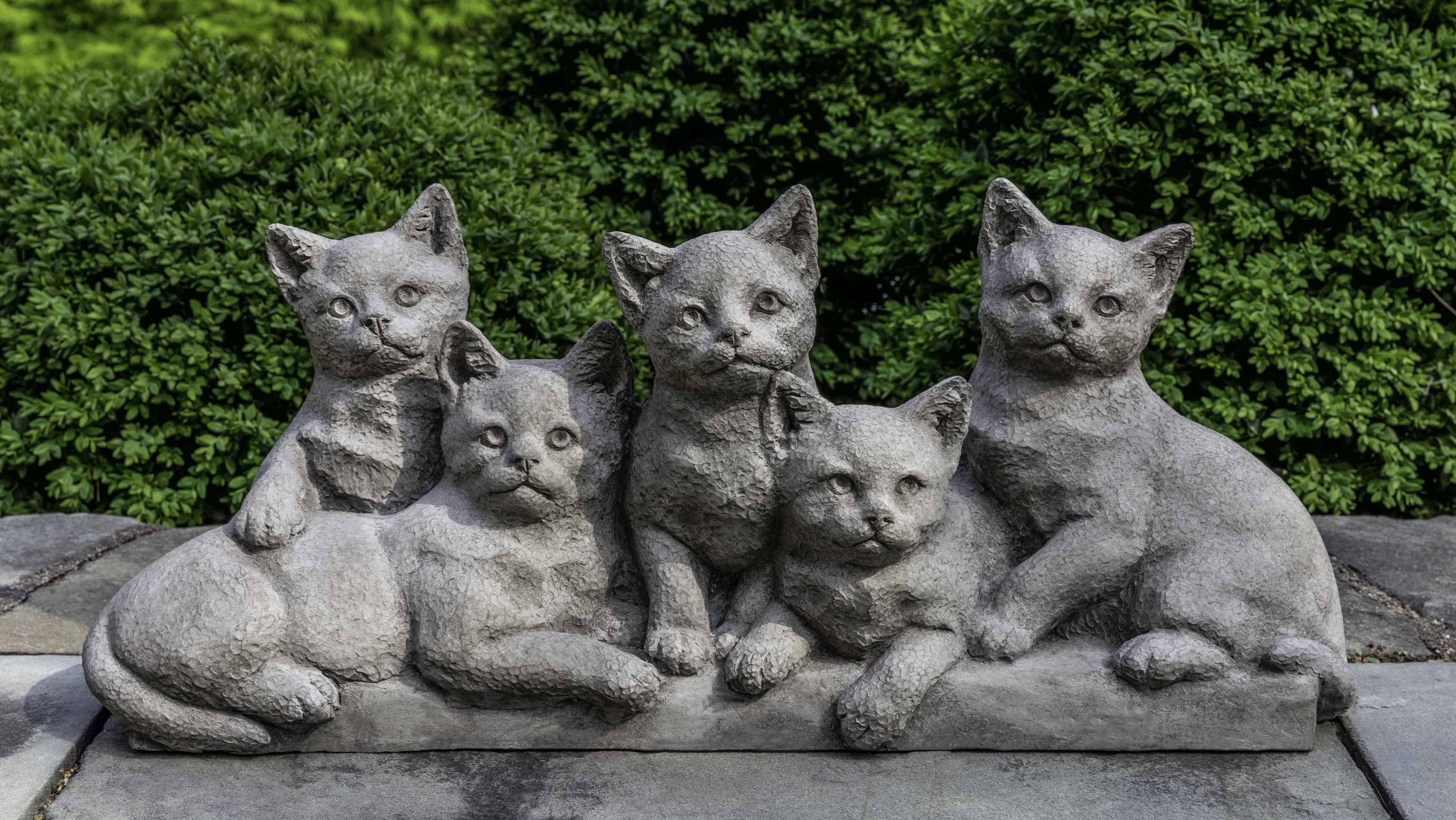 Photo of Campania Quintuplets - Exclusively Campania