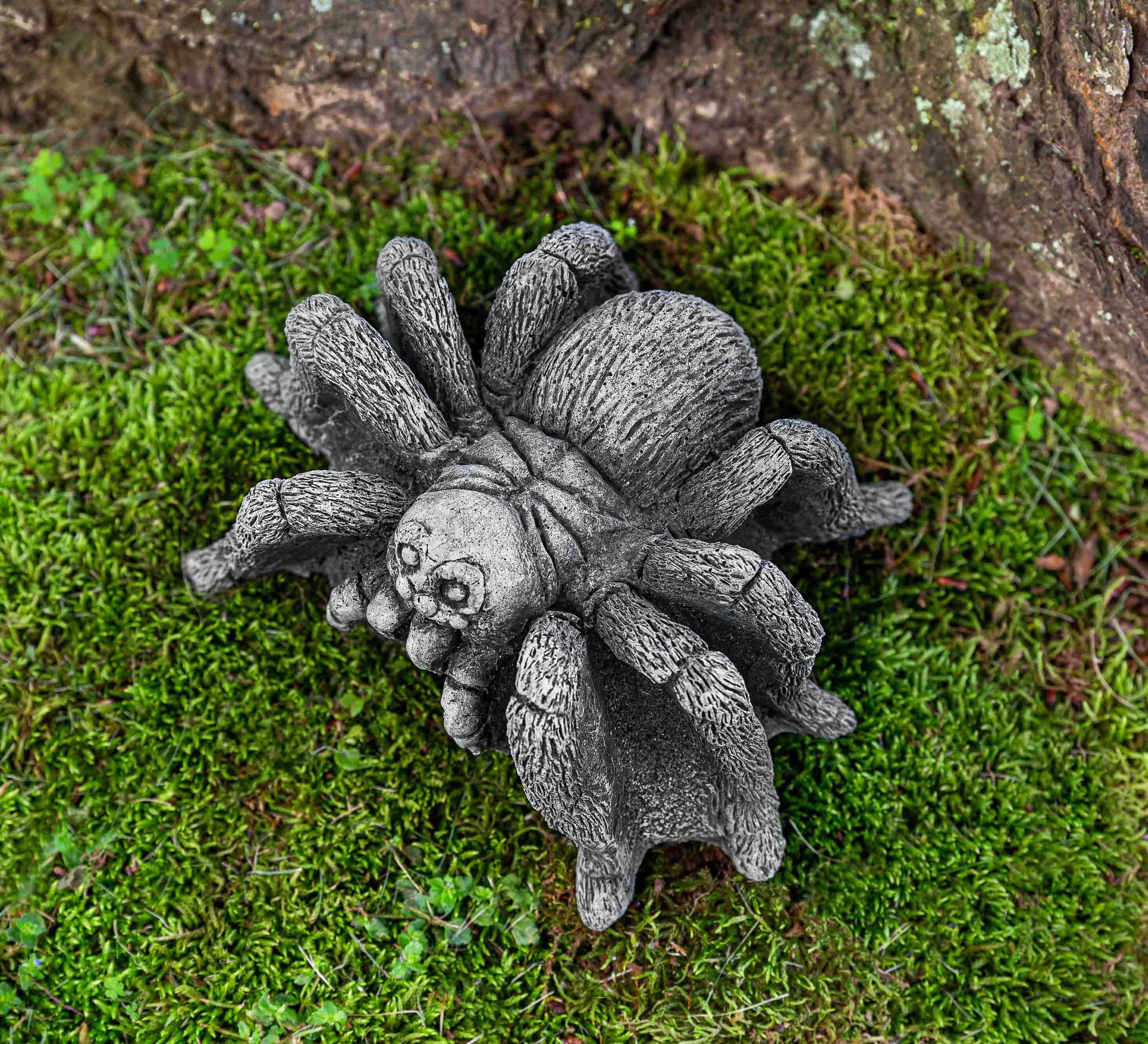 Photo of Campania Tarantula - Exclusively Campania