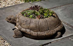 Photo of Campania Turtle Planters - Exclusively Campania