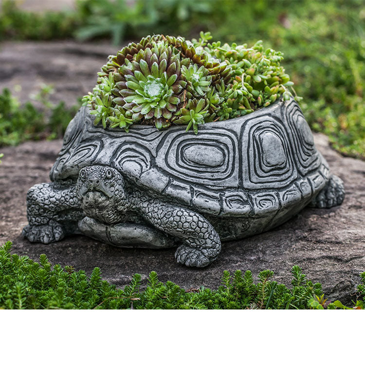 Photo of Campania Turtle Planters - Exclusively Campania