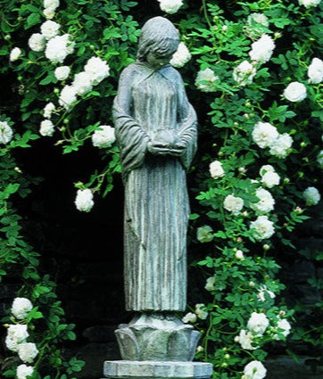 Photo of Campania Wood Nymph - Exclusively Campania