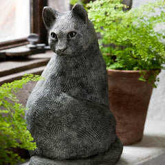 Photo of Campania Prowl - Exclusively Campania