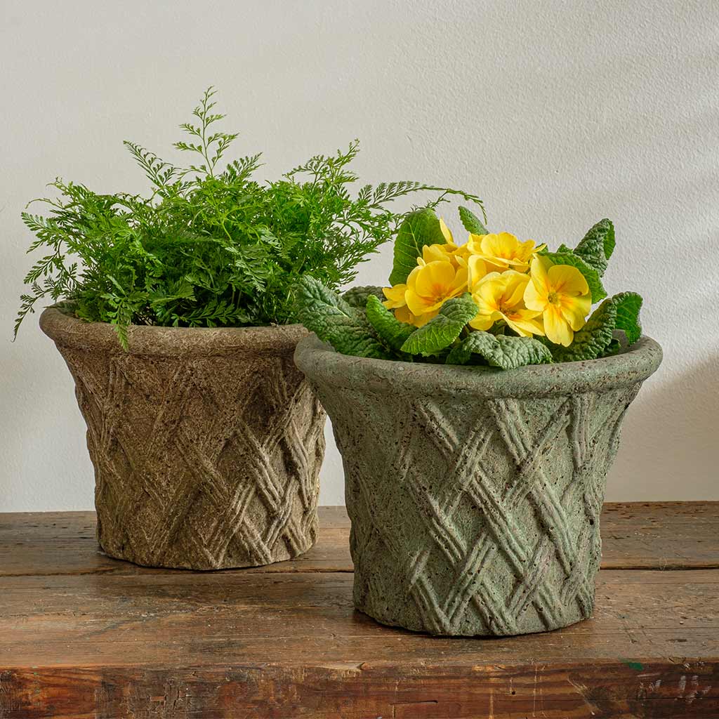 Photo of Campania Antique Lattice Planter - Exclusively Campania