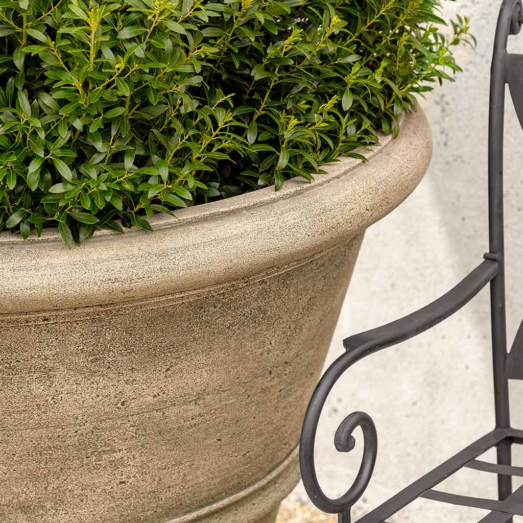 Photo of Campania Rustic Rolled Rim - Exclusively Campania