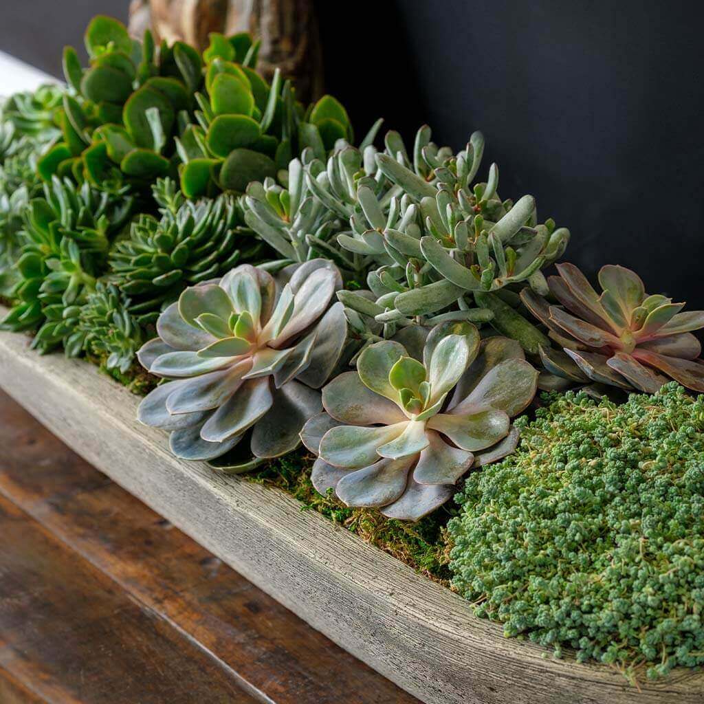 Photo of Barca Planters - Exclusively Campania