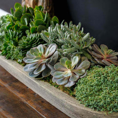 Photo of Barca Planters - Exclusively Campania