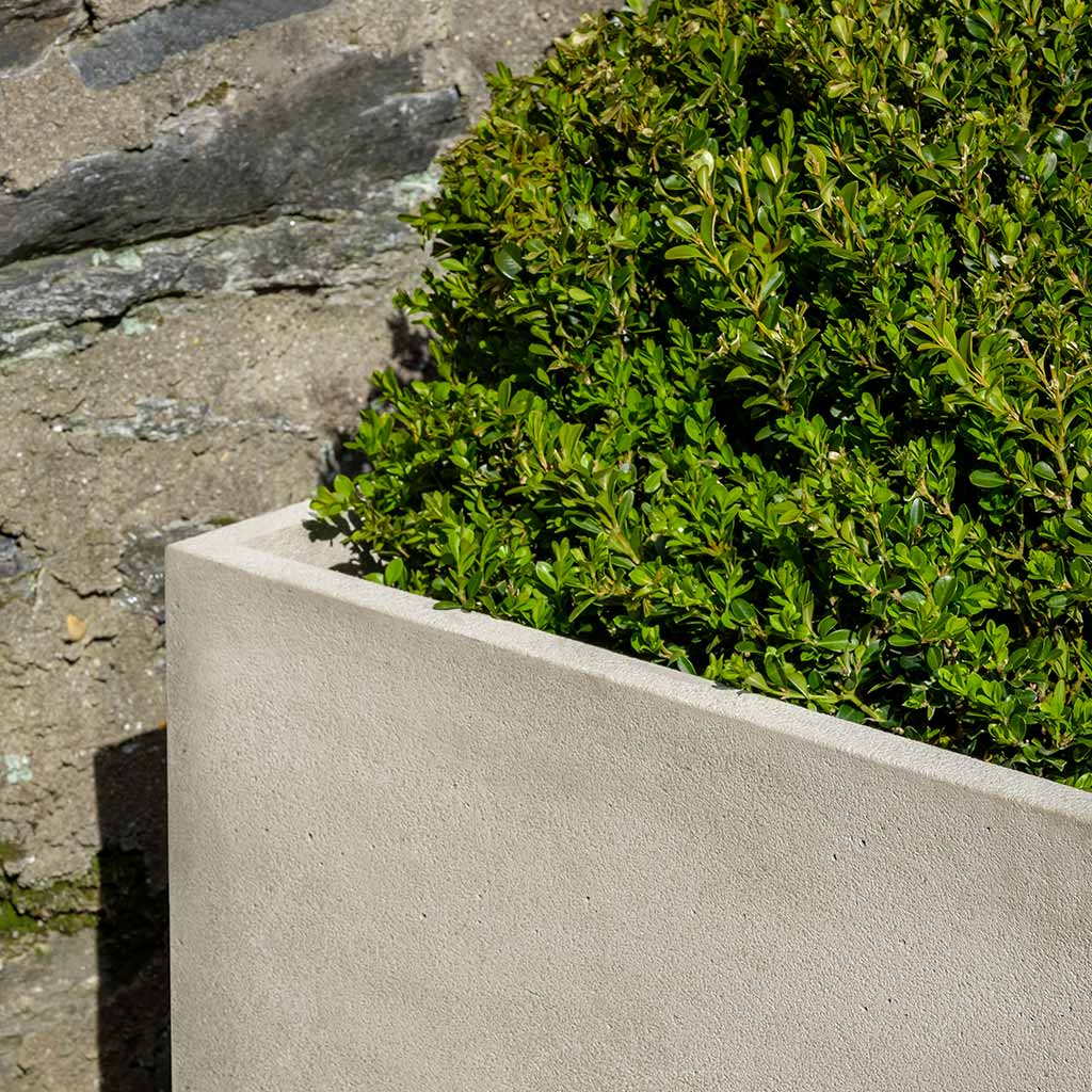 Photo of Campania Cube Planter - Exclusively Campania
